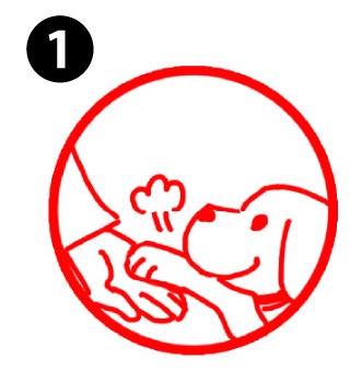 강아지 스탬프①