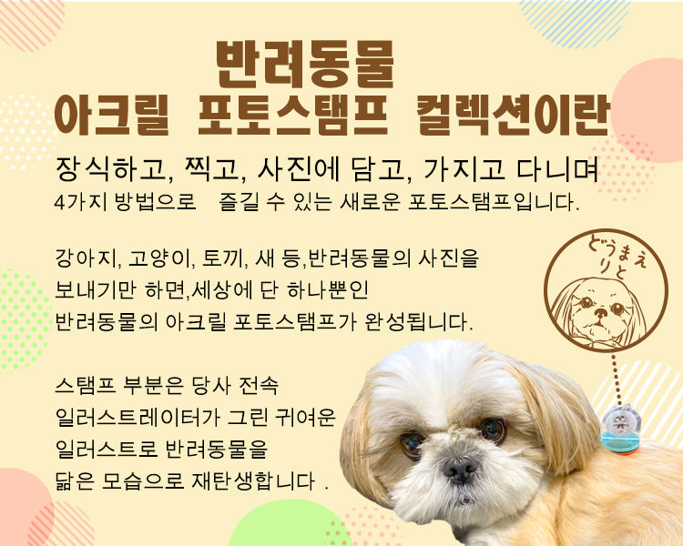 반려동물 아크릴 포토스탬프 컬렉션