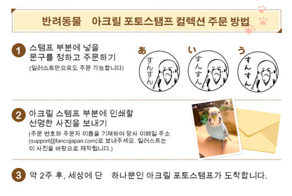 반려동물 아크릴 포토스탬프 컬렉션
