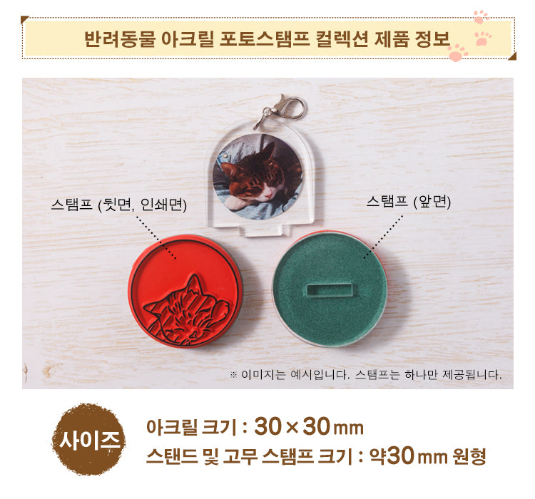반려동물 아크릴 포토스탬프 컬렉션